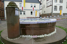 Bluemteppich auf dem Naumburegr Marktplatz (Foto: Karl-Franz Thiede)